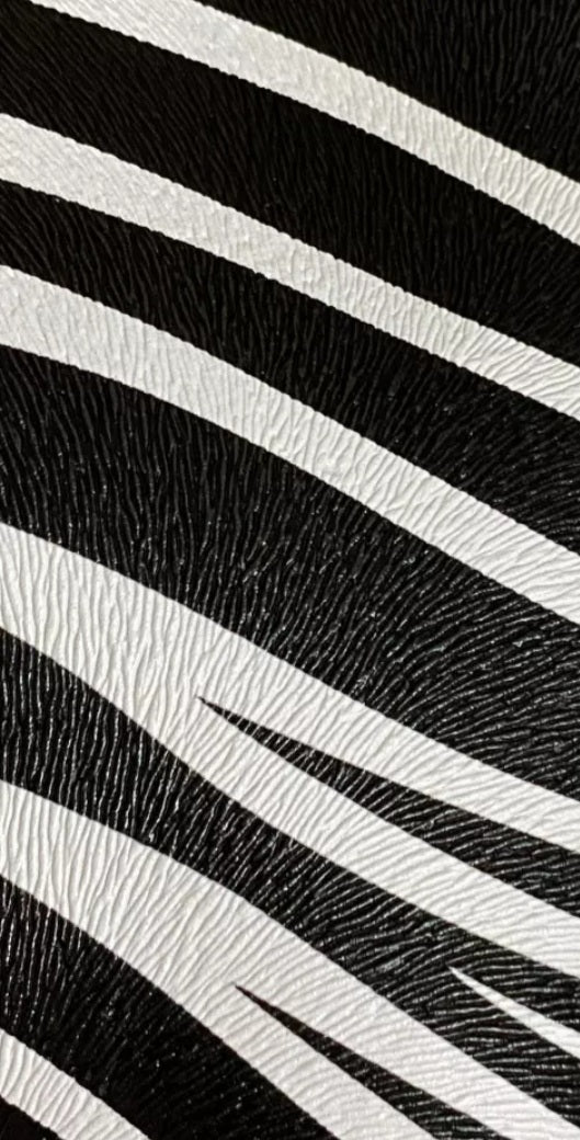 Textured Zebra/cow Print Shoulder Purse Zebra Print